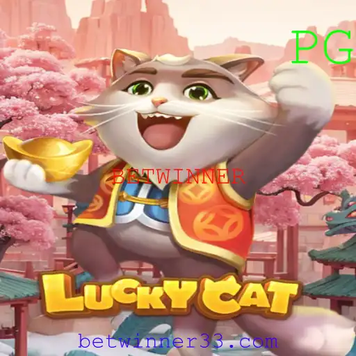 LuckyCat: Uma Nova Aposta na Diversão com BETWINNER